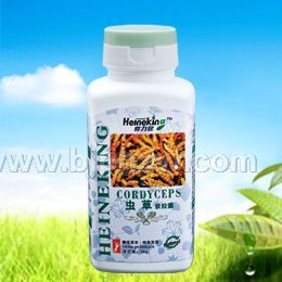 虫草-美国喜力健-全国首招独家！