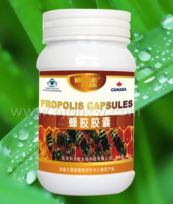 全国含量最高的蜂胶产品——蜂胶胶囊——华夏外用产品招商网