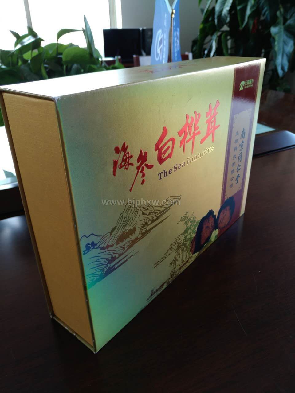 海参白桦茸