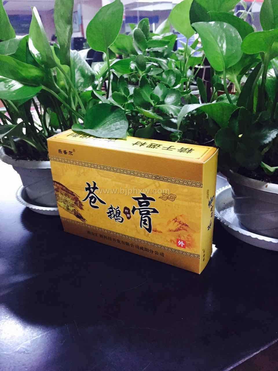 苍鹅鼻炎膏 祖传秘方 一次见效——华夏外用产品招商网