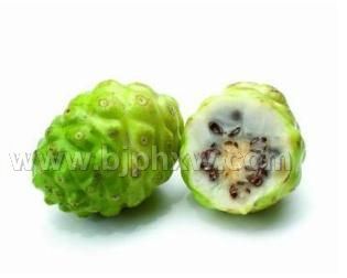 诺丽酵素供应——华夏外用产品招商网