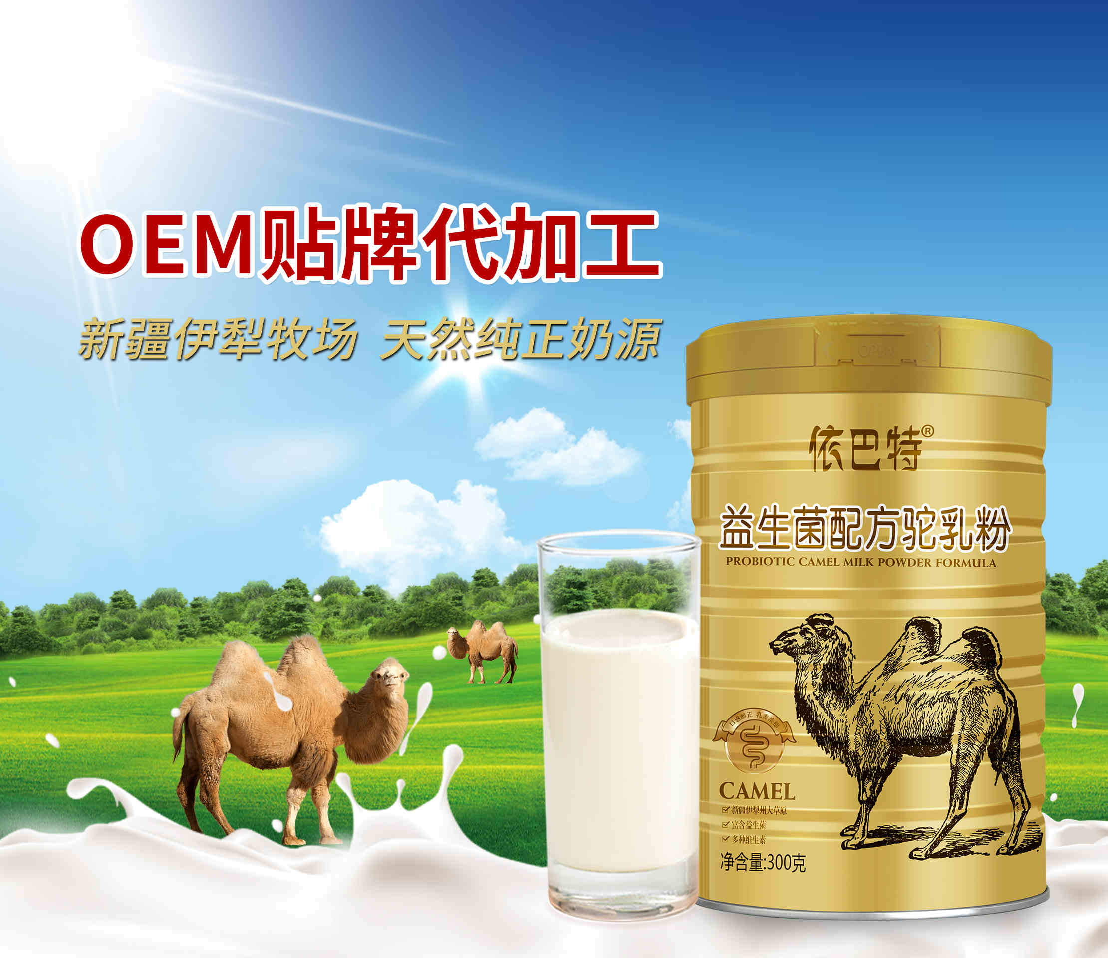 骆驼奶粉多少钱一箱