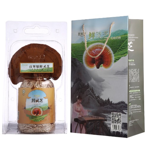 百翠原富硒新鲜灵芝代理招商加盟——华夏外用产品招商网