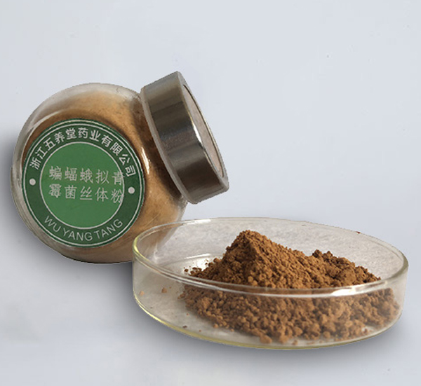 蝙蝠蛾拟青霉菌丝体粉（发酵虫草菌丝体粉）（浙江五养堂药业有限公司）——华夏外用产品招商网
