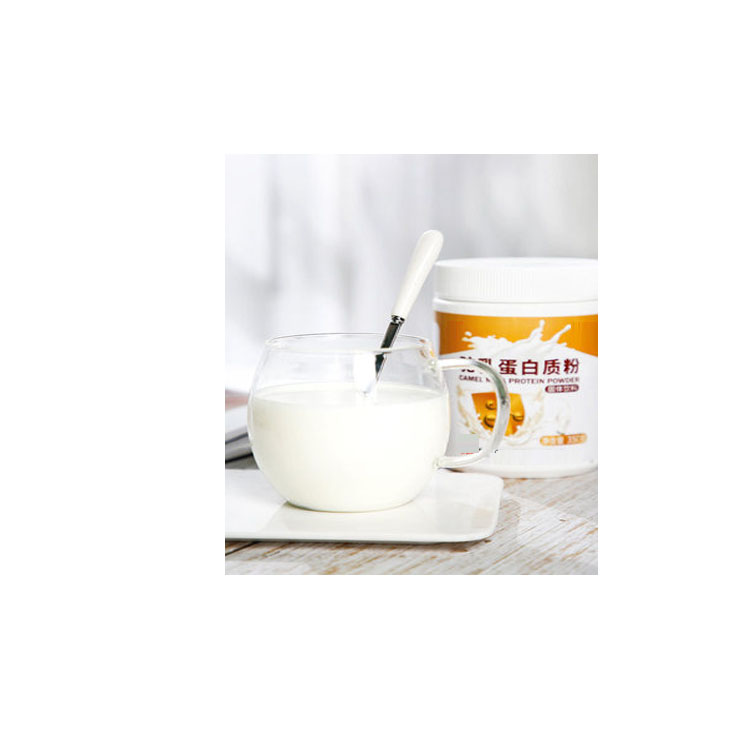 驼奶蛋白质粉剂