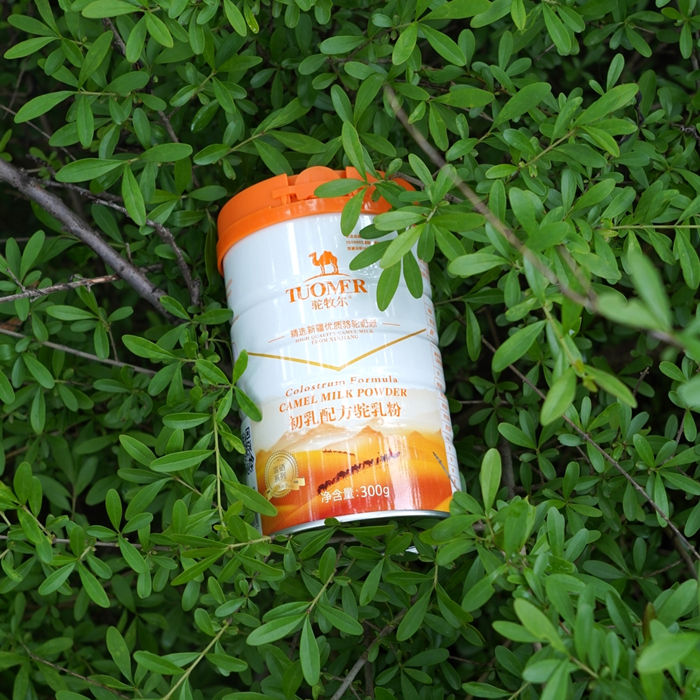 初乳骆驼奶粉批发 骆驼奶粉厂家——华夏外用产品招商网