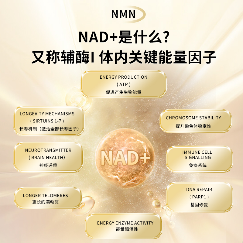 【美国原装进口保健品】NMN12000&辅酶Q10复合胶囊——华夏外用产品招商网