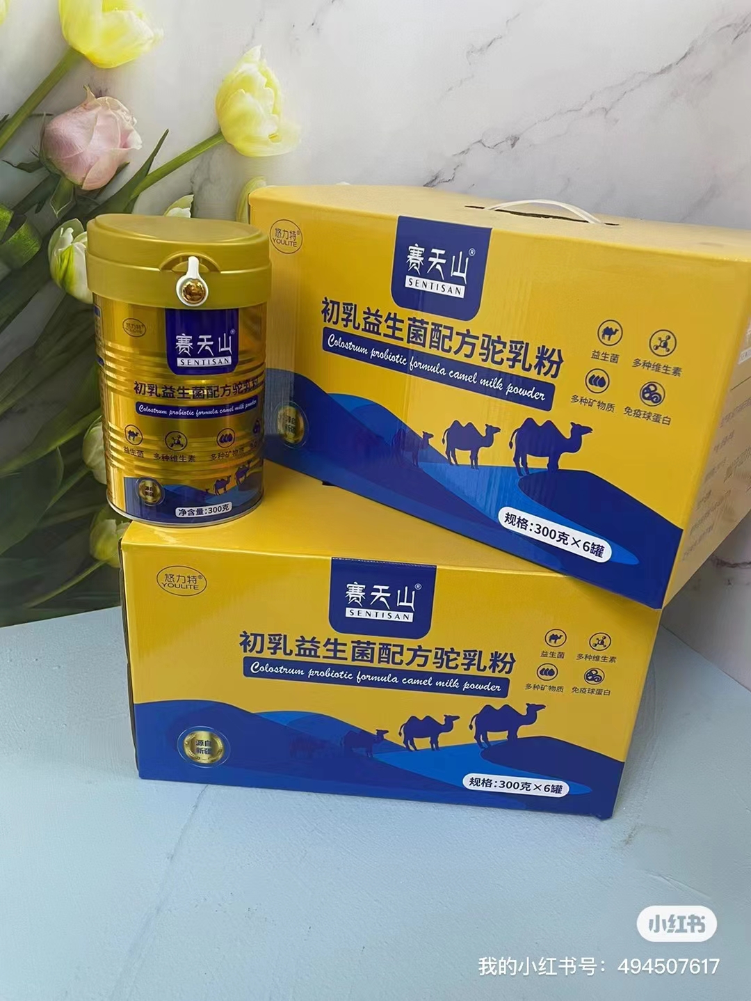 新疆伊犁赛天山骆驼奶粉4O年奶粉厂代工 贴牌 供原料粉及现货批发