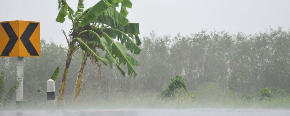 暴雨天气应该如何自救 雨水天气如何自我保健 遇到暴雨天气怎么办