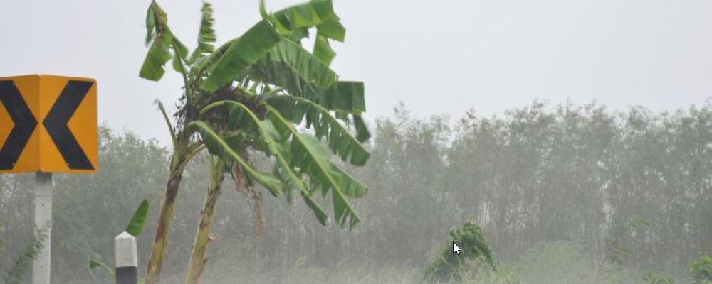 出行遇到暴雨天气怎么办 如何安全出行 暴雨天气如何安全出行
