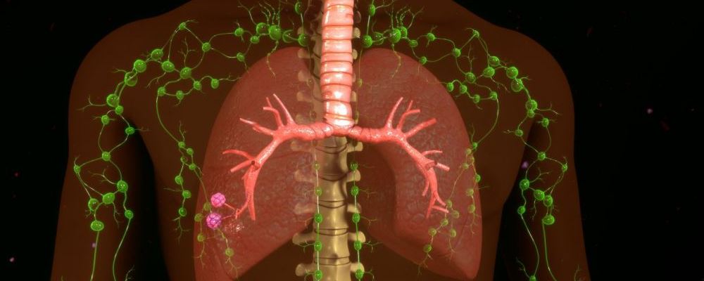 钟南山称新冠无明显肺部后遗症 吃什么可以提升免疫力 提升免疫力的方法