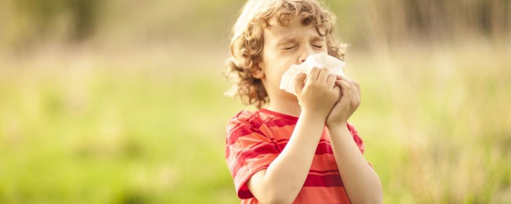 过敏性鼻炎吃什么好 过敏性鼻炎可以吃什么 过敏性鼻炎不能吃什么