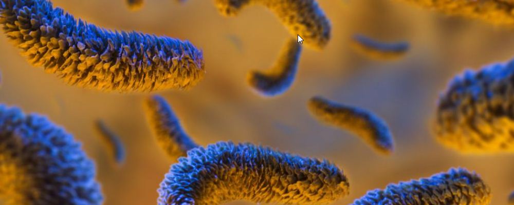 大肠菌群对人体的危害是什么 大肠菌群超标会引起哪些疾病 什么是大肠菌群