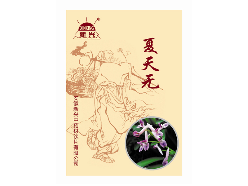 夏天无（中药饮片）