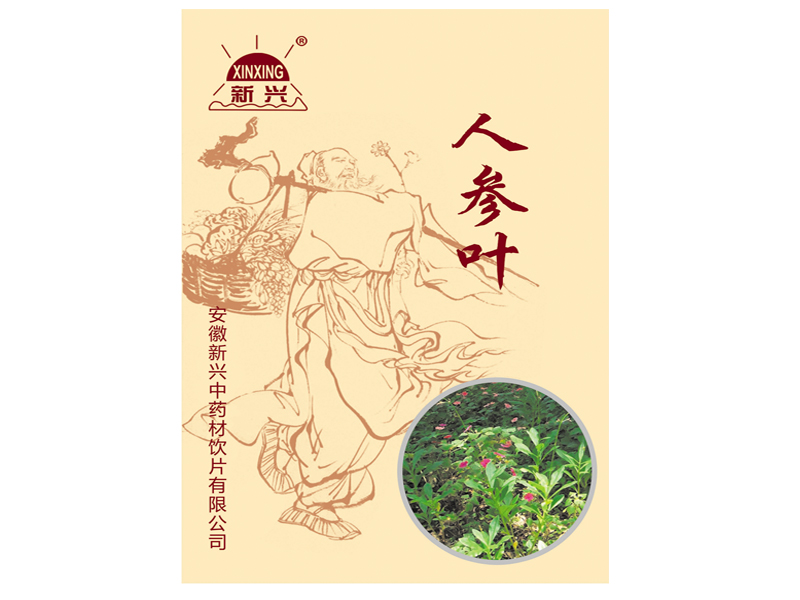 人参叶（中药饮片）